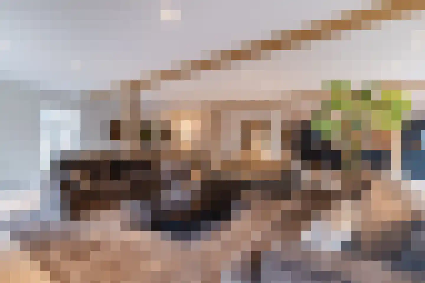 Lage Giessen 39 Hoornaar thumbnail 24