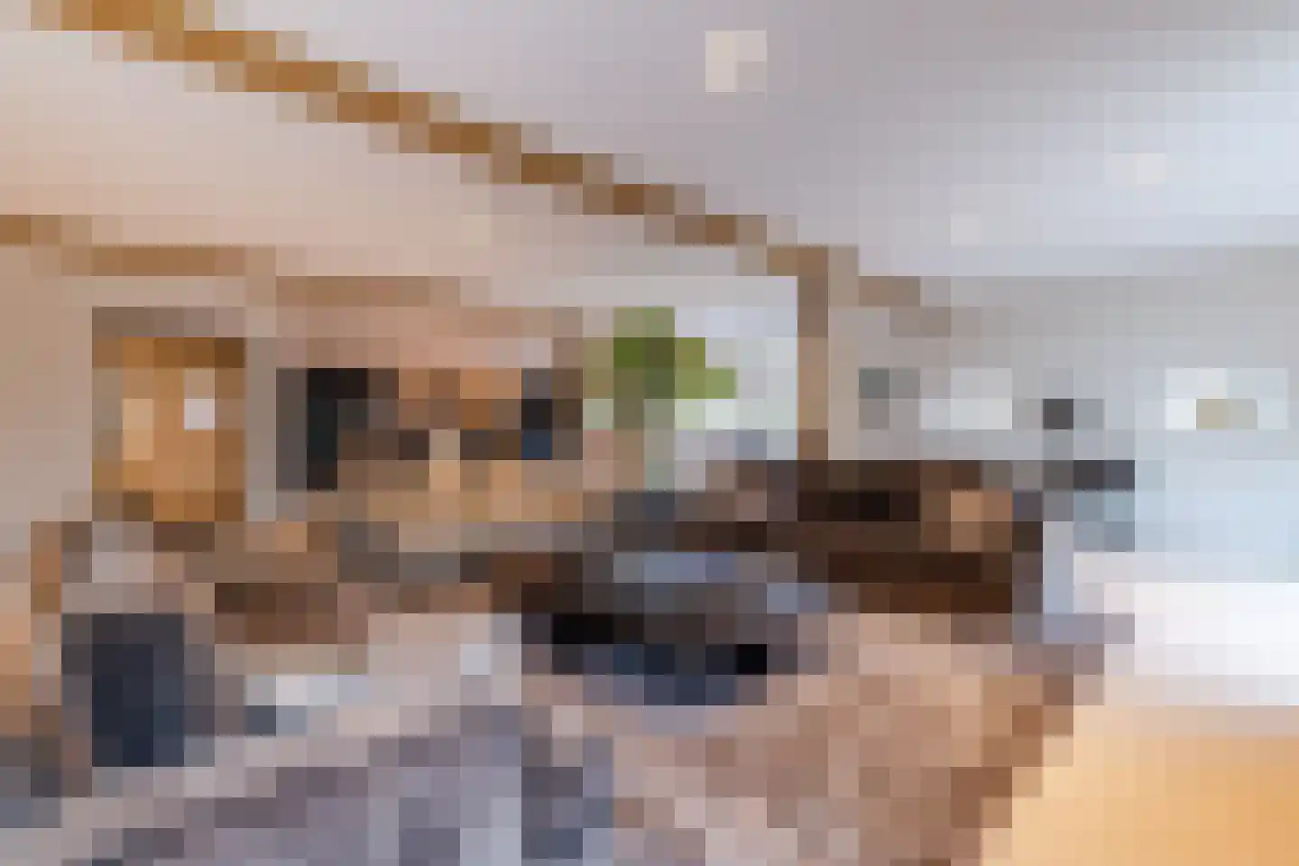 Lage Giessen 39 Hoornaar thumbnail 25