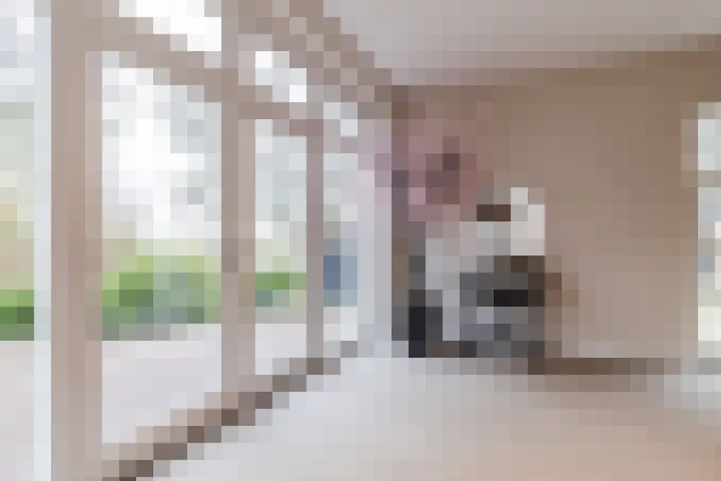 Lage Giessen 39 Hoornaar thumbnail 27