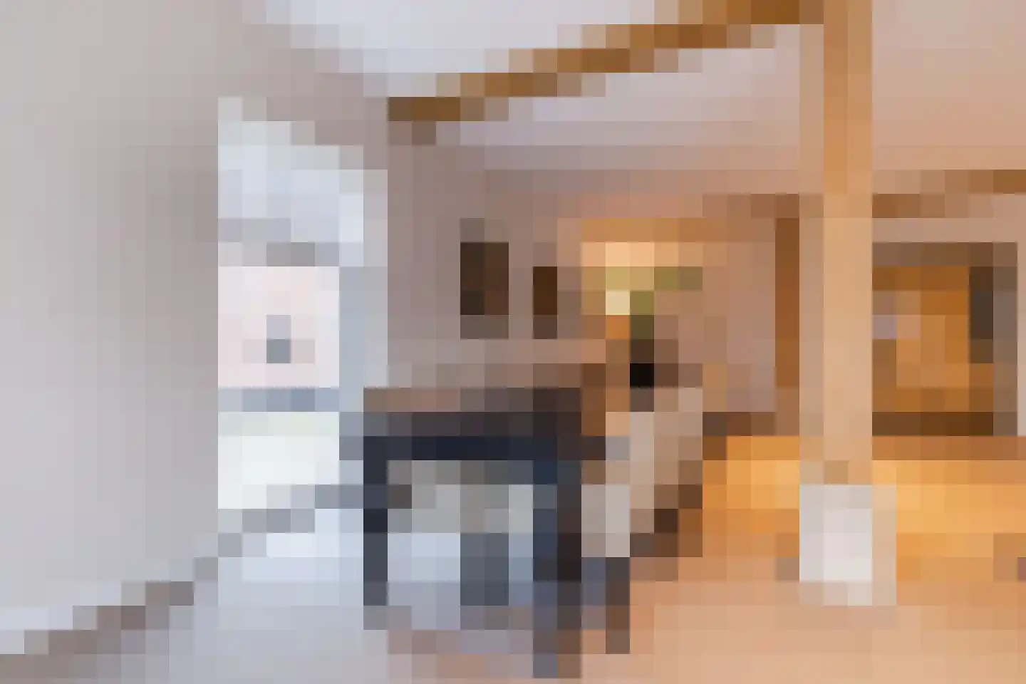 Lage Giessen 39 Hoornaar thumbnail 32