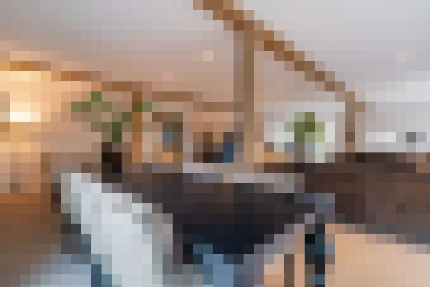Lage Giessen 39 Hoornaar thumbnail 33