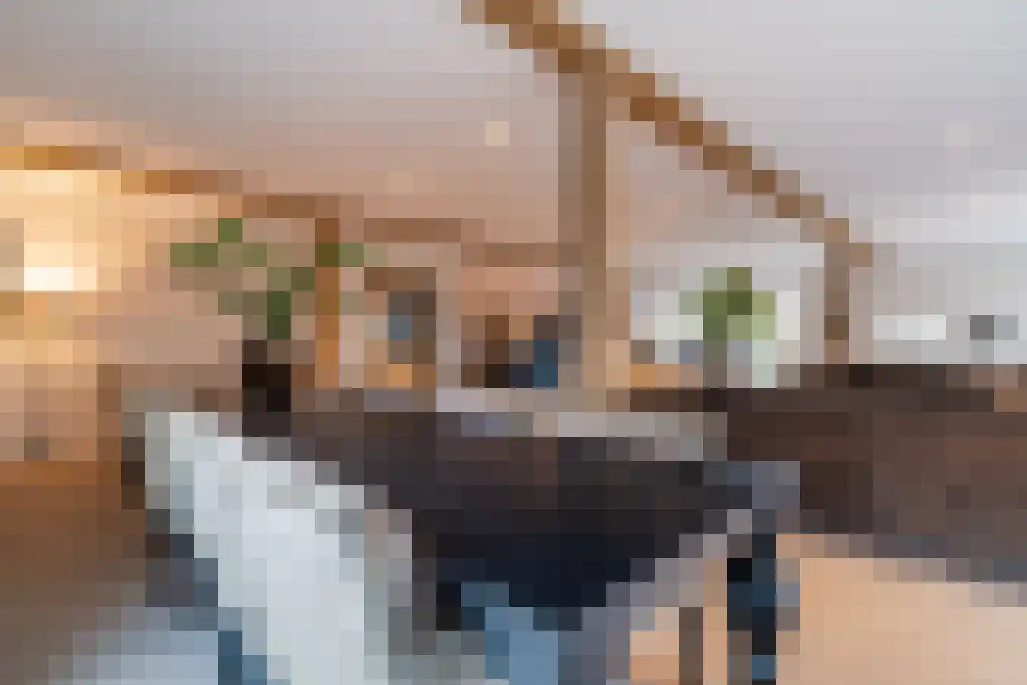 Lage Giessen 39 Hoornaar thumbnail 33