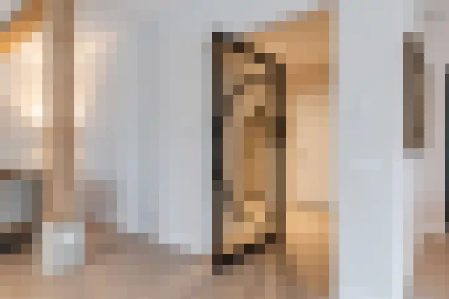 Lage Giessen 39 Hoornaar thumbnail 37