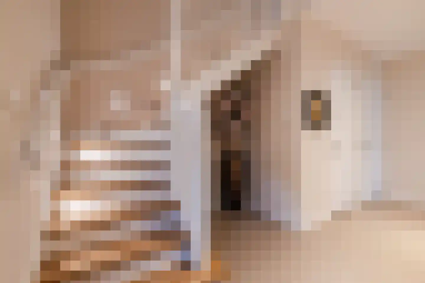 Lage Giessen 39 Hoornaar thumbnail 39