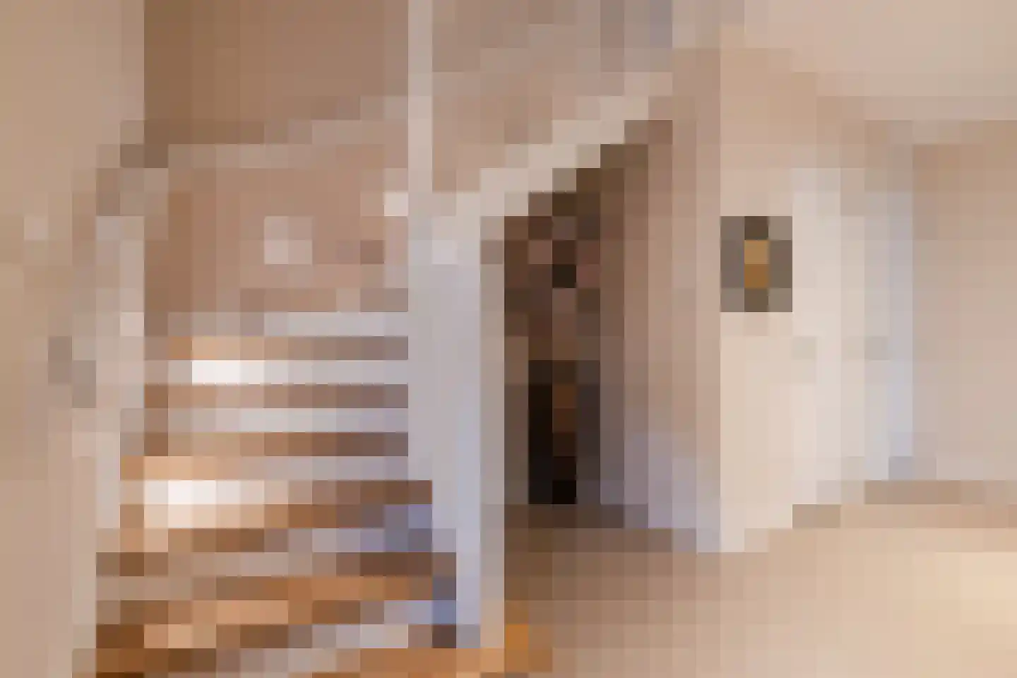 Lage Giessen 39 Hoornaar thumbnail 39