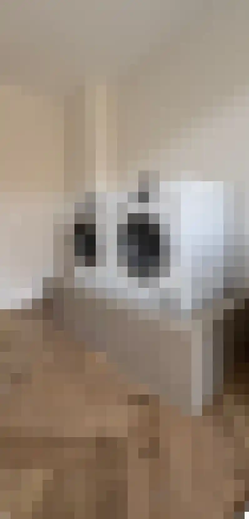 Lage Giessen 39 Hoornaar thumbnail 49