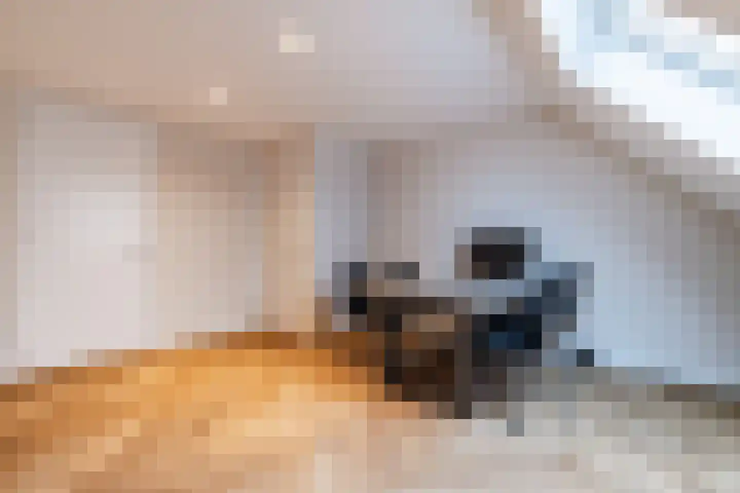 Lage Giessen 39 Hoornaar thumbnail 50