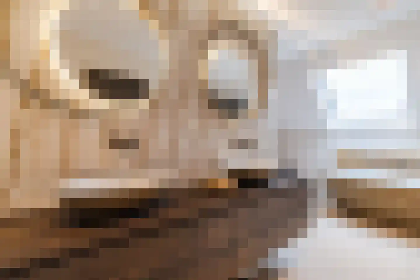 Lage Giessen 39 Hoornaar thumbnail 52