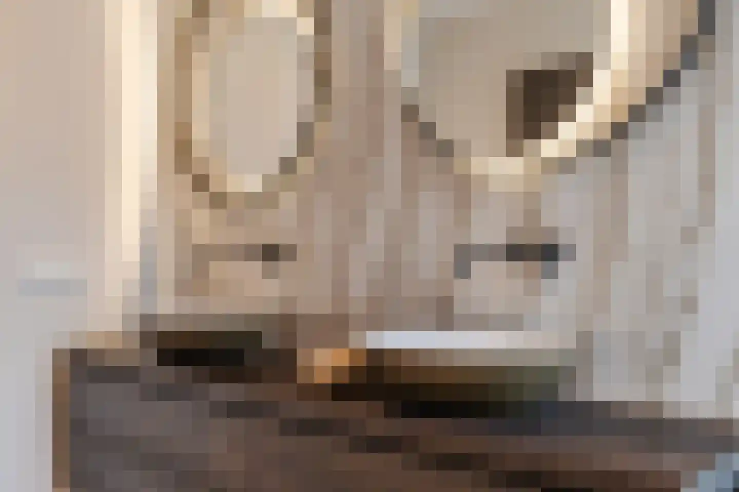 Lage Giessen 39 Hoornaar thumbnail 55