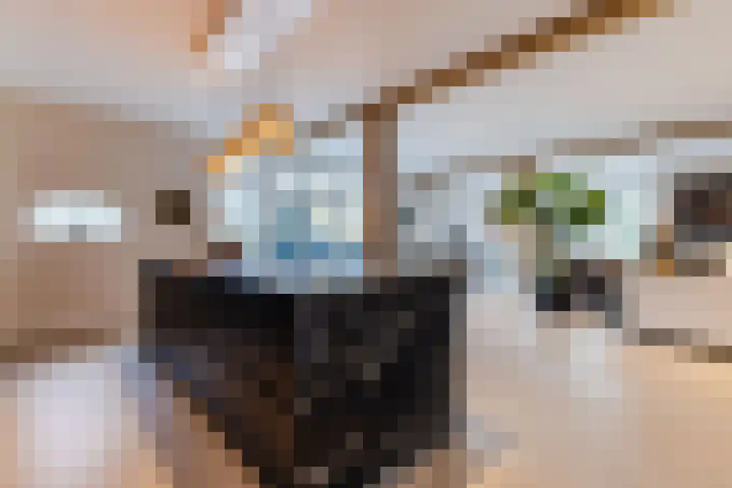 Lage Giessen 39 Hoornaar thumbnail 6