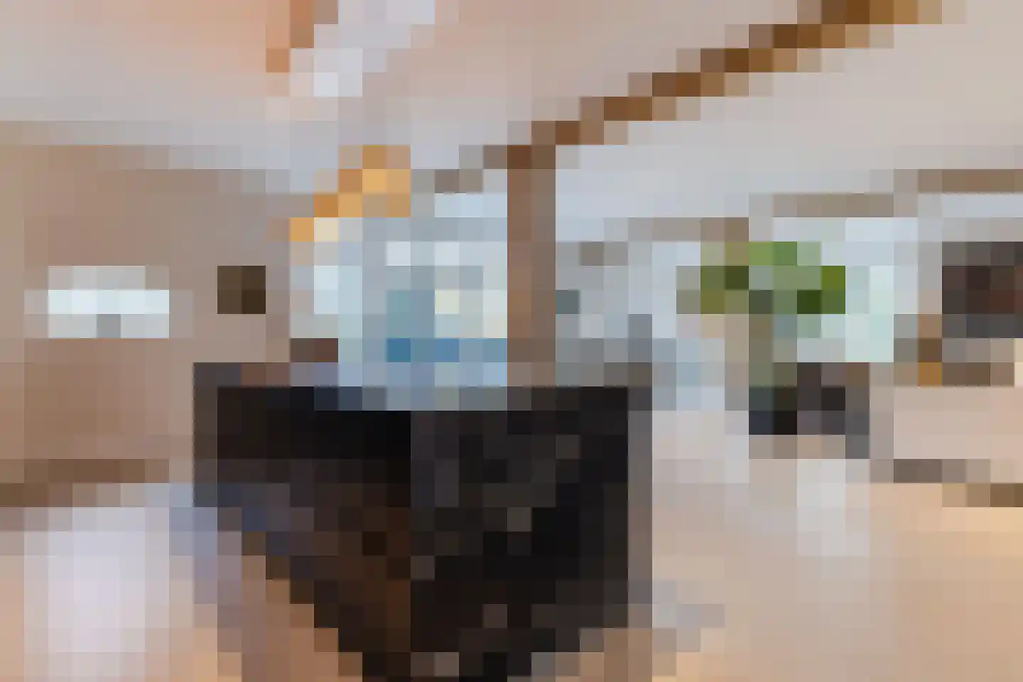 Lage Giessen 39 Hoornaar thumbnail 6