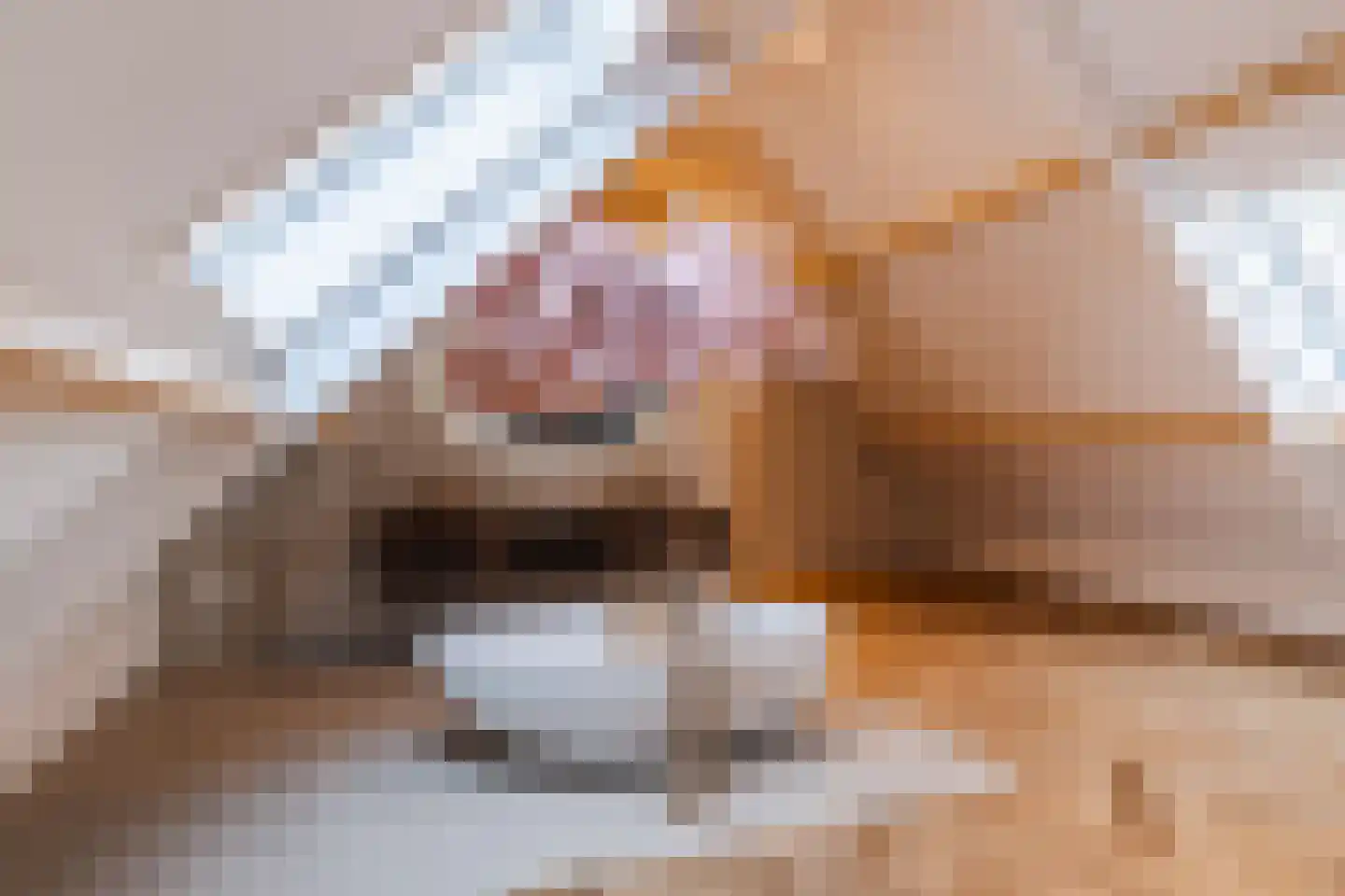 Lage Giessen 39 Hoornaar thumbnail 63