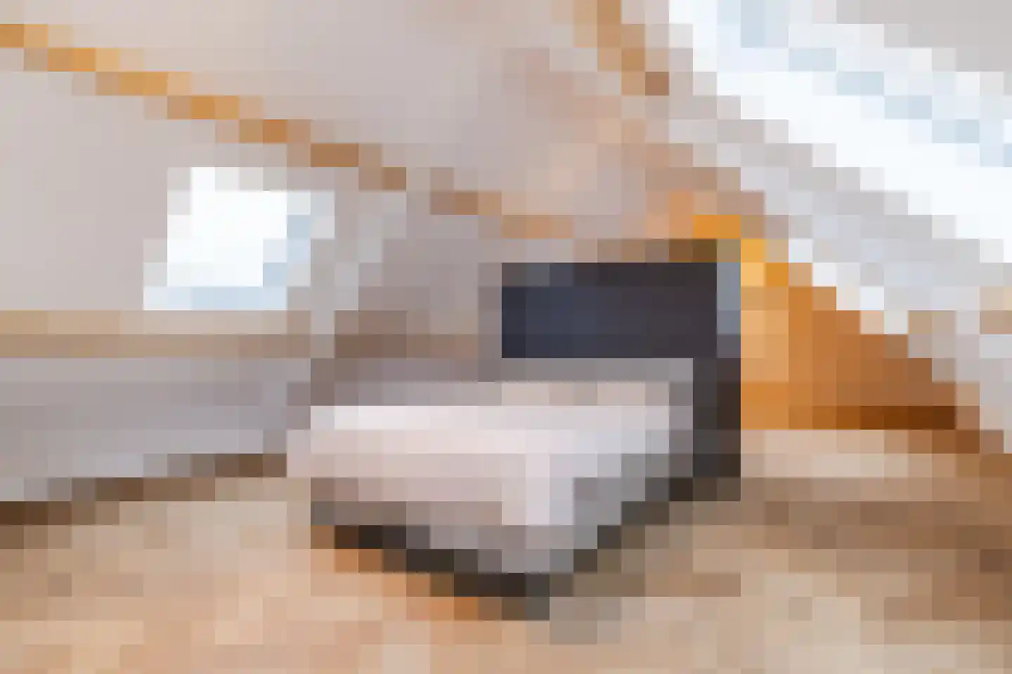 Lage Giessen 39 Hoornaar thumbnail 65
