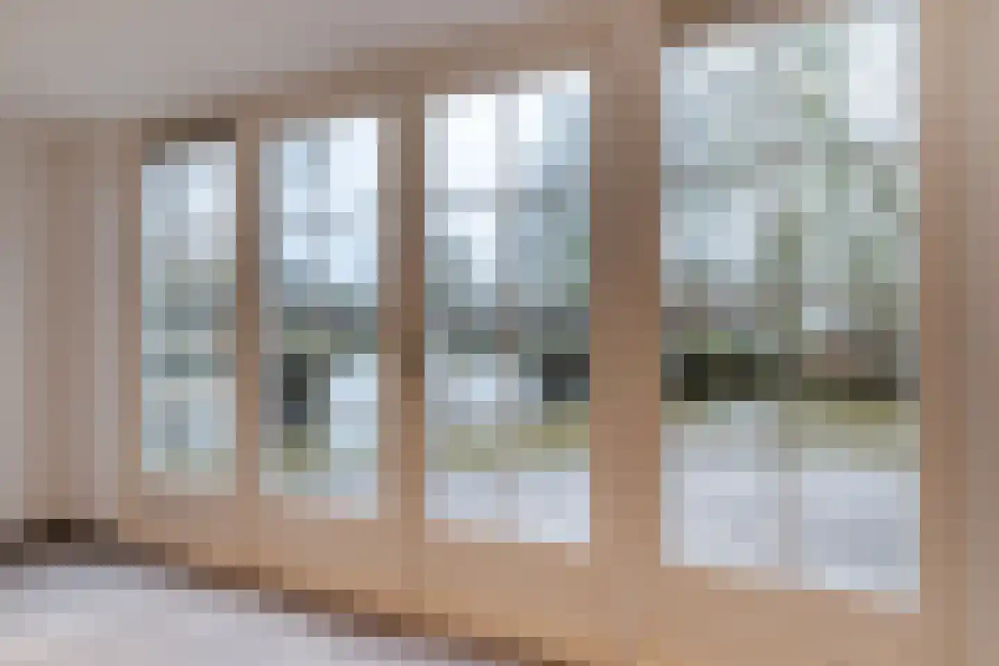 Lage Giessen 39 Hoornaar thumbnail 71