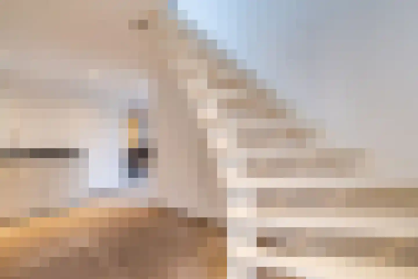 Lage Giessen 39 Hoornaar thumbnail 77