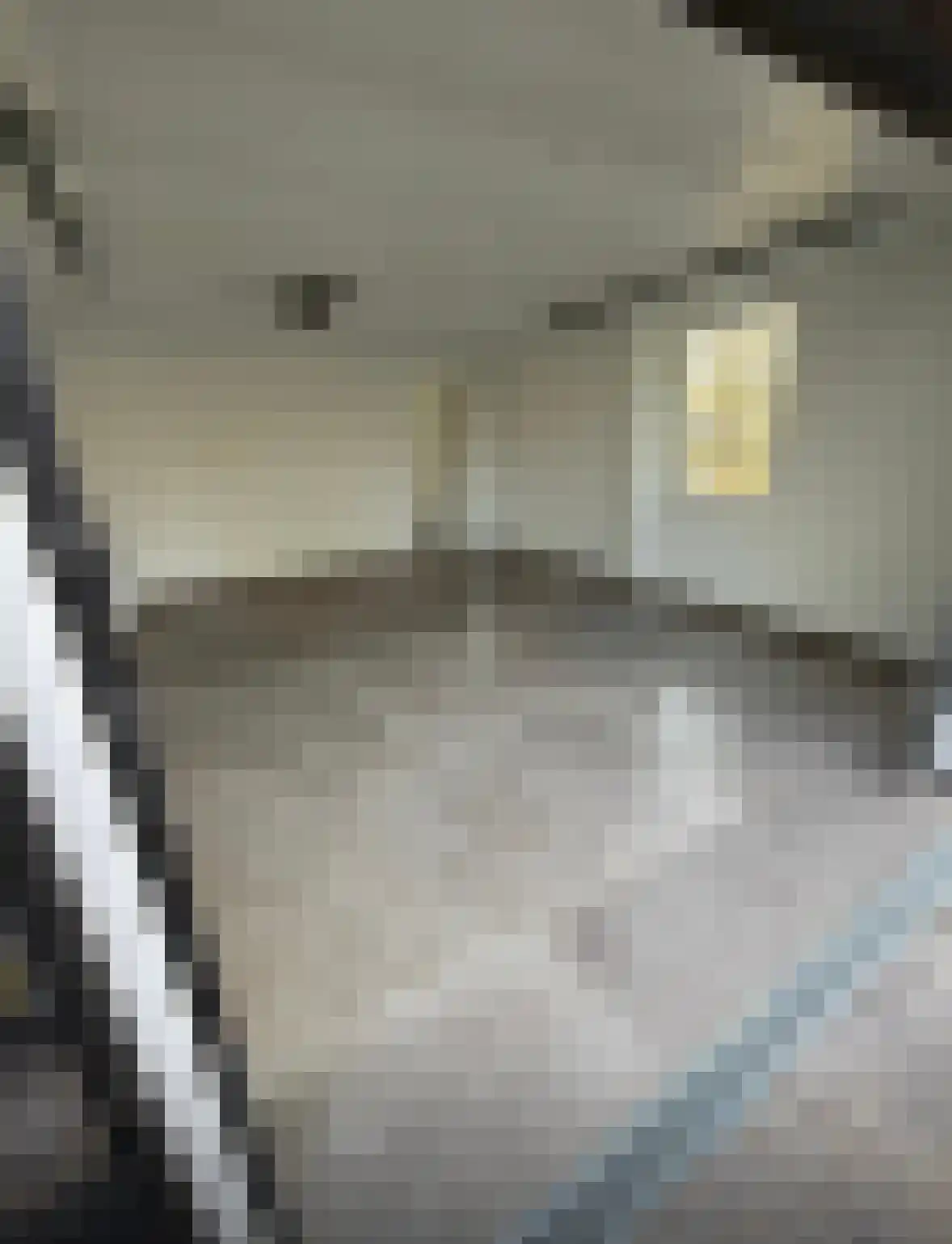 Lage Giessen 39 Hoornaar thumbnail 78