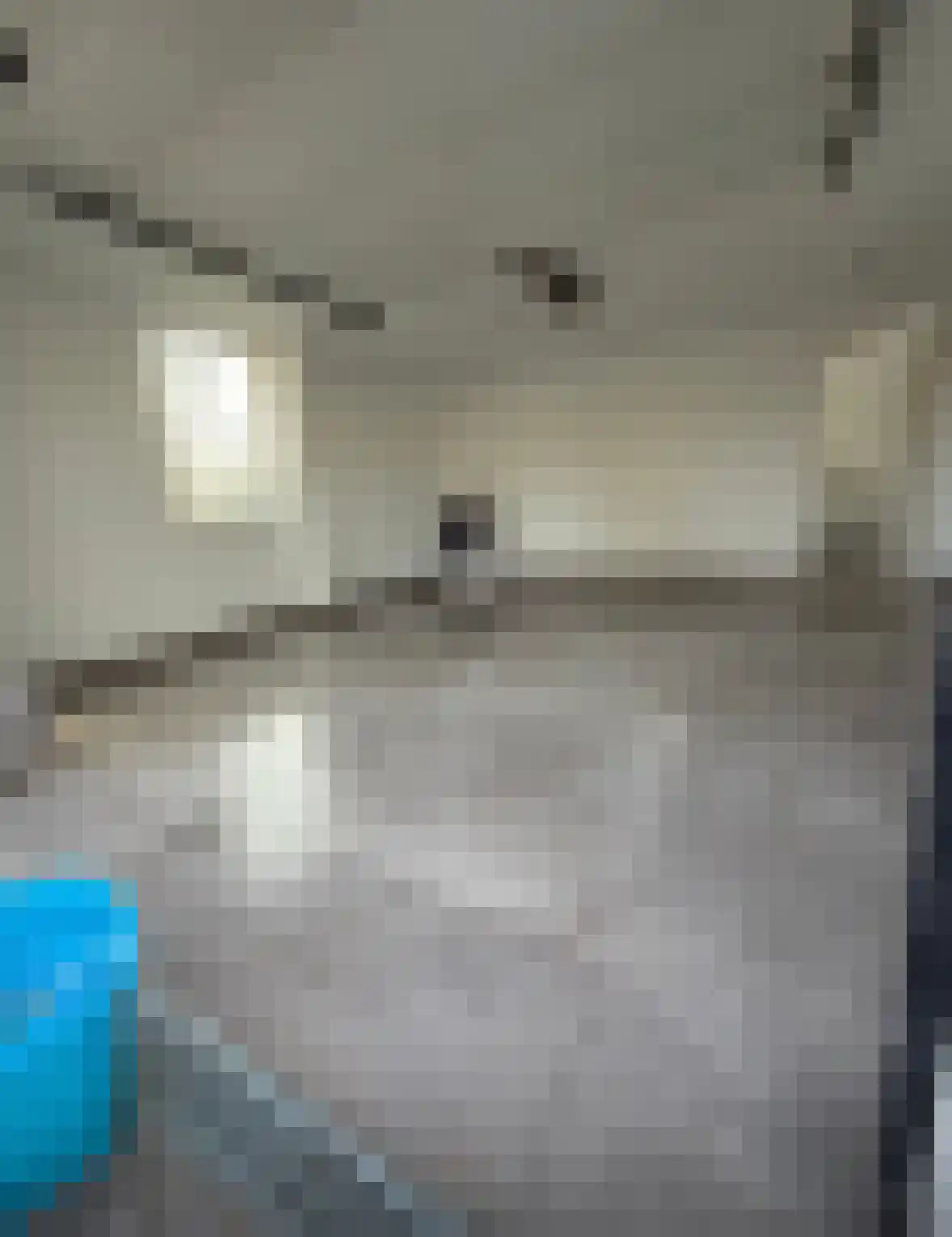 Lage Giessen 39 Hoornaar thumbnail 79