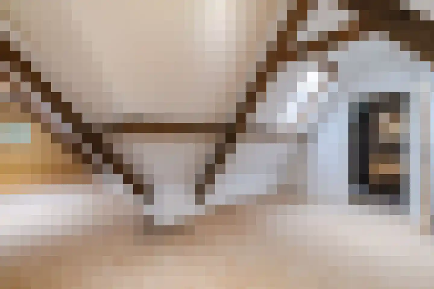 Lage Giessen 39 Hoornaar thumbnail 82