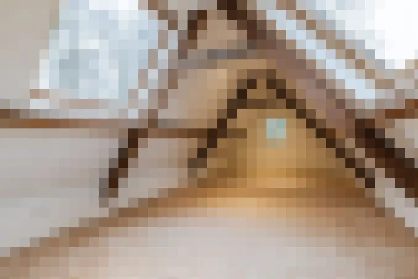Lage Giessen 39 Hoornaar thumbnail 83
