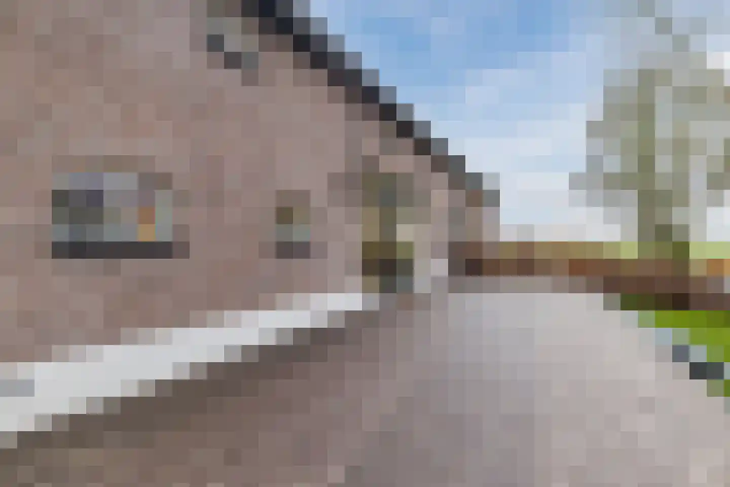Lage Giessen 39 Hoornaar thumbnail 85