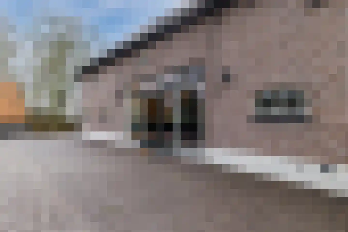 Lage Giessen 39 Hoornaar thumbnail 86