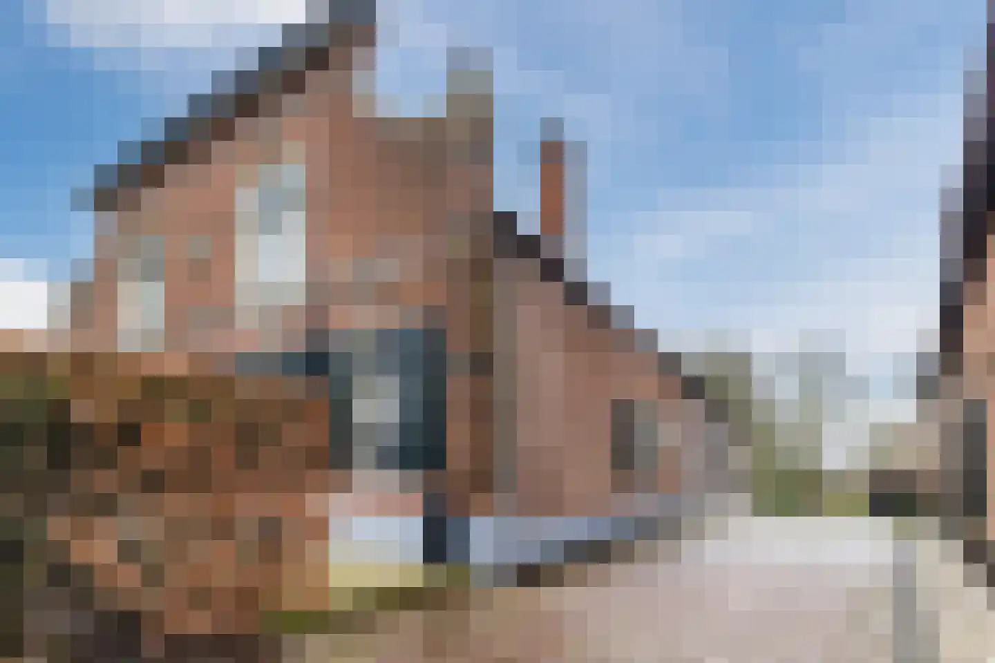 Lage Giessen 39 Hoornaar thumbnail 88