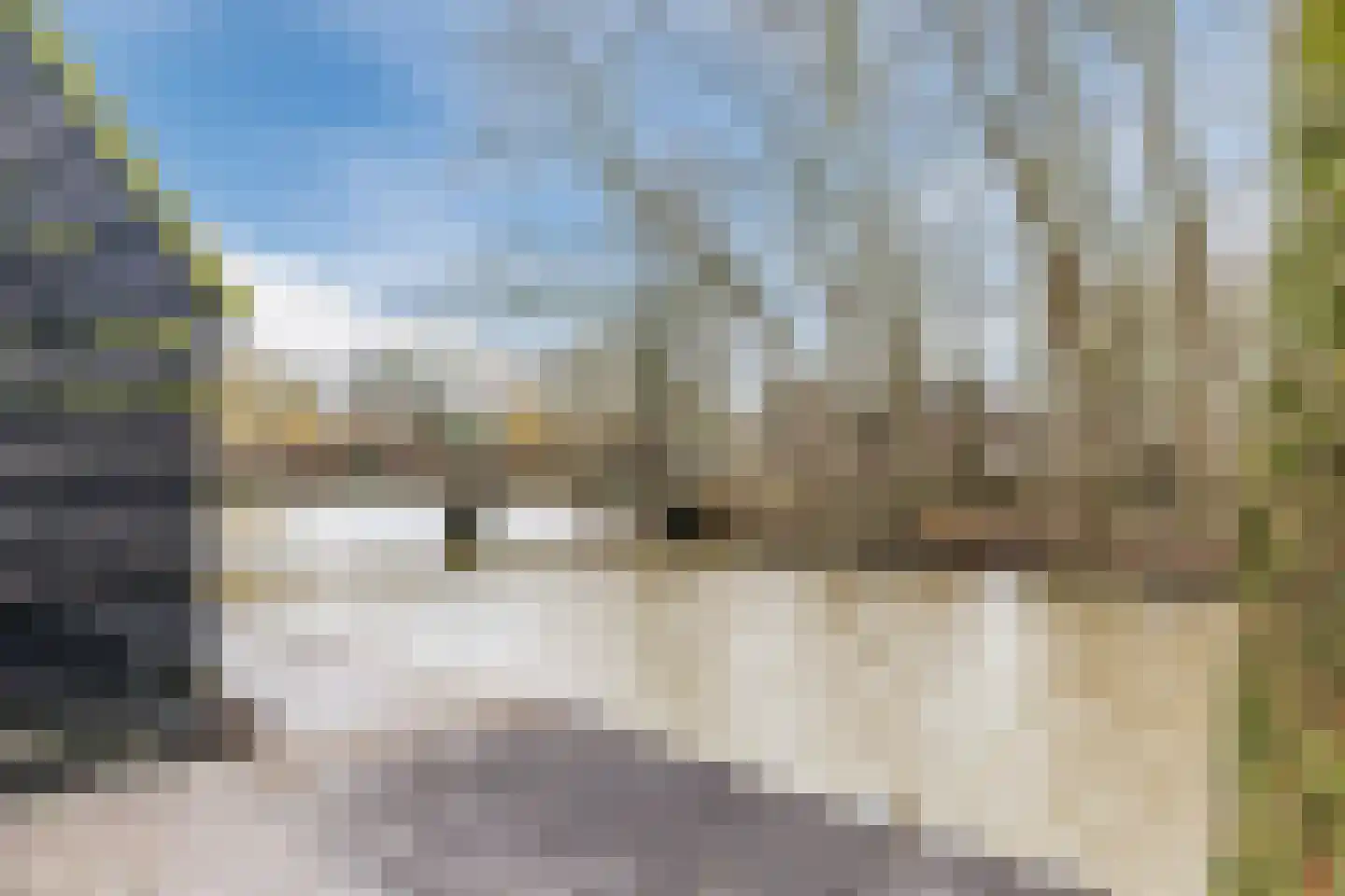 Lage Giessen 39 Hoornaar thumbnail 94