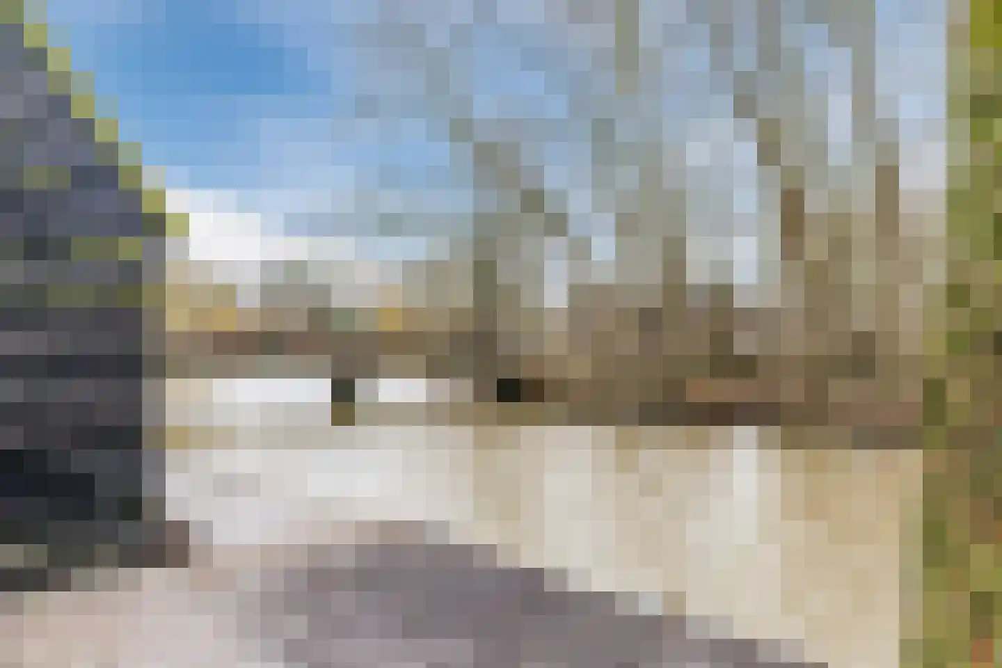 Lage Giessen 39 Hoornaar thumbnail 94