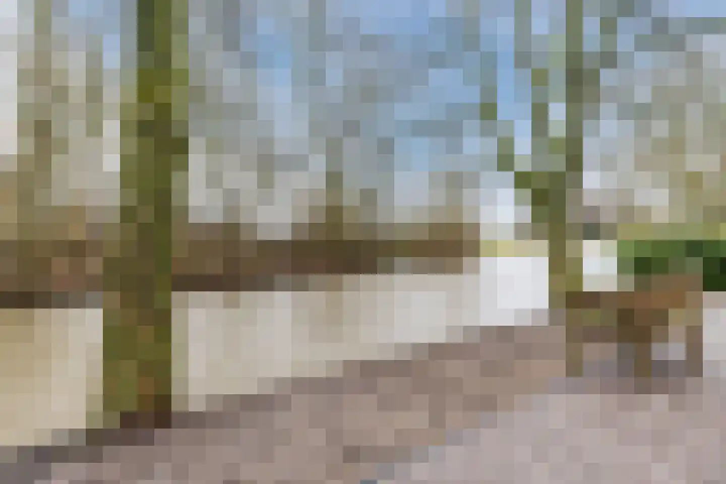 Lage Giessen 39 Hoornaar thumbnail 95