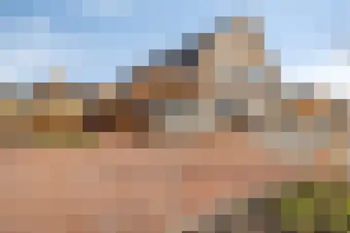 Lage Giessen 7 B in Hoornaar