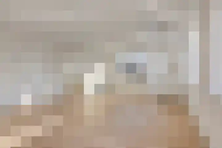 Lage Giessen 7 B Hoornaar thumbnail 11
