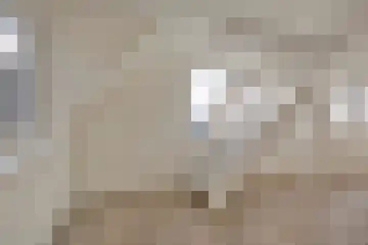Lage Giessen 7 B Hoornaar thumbnail 12