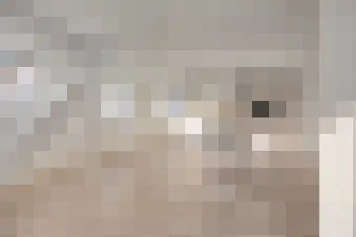 Lage Giessen 7 B Hoornaar thumbnail 13