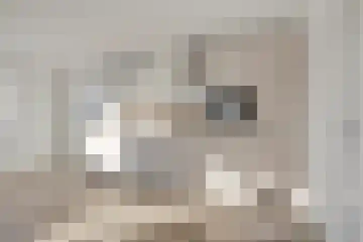 Lage Giessen 7 B Hoornaar thumbnail 14