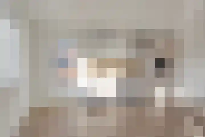 Lage Giessen 7 B Hoornaar thumbnail 15