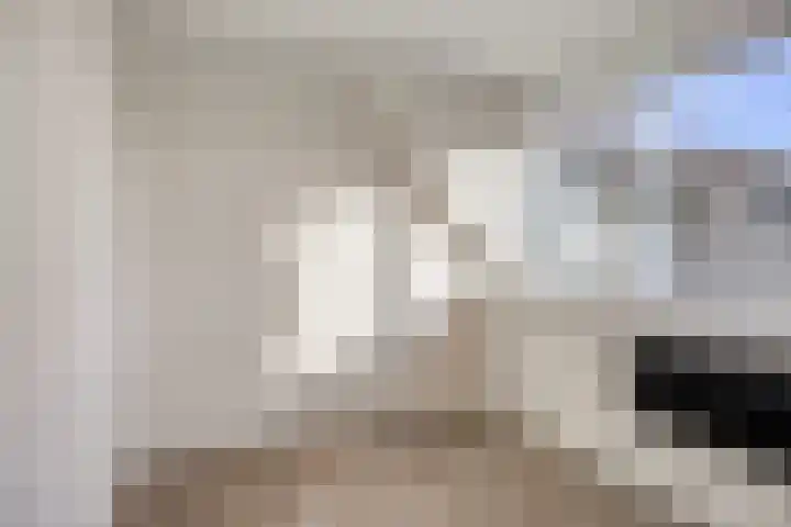 Lage Giessen 7 B Hoornaar thumbnail 16