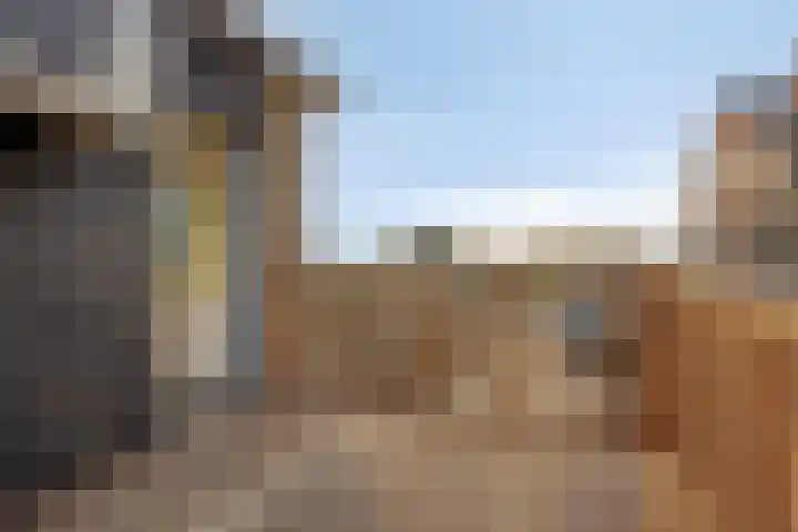 Lage Giessen 7 B Hoornaar thumbnail 20