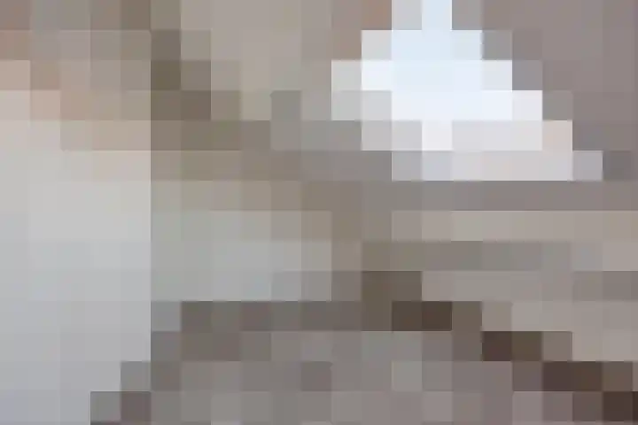 Lage Giessen 7 B Hoornaar thumbnail 23