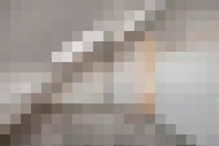 Lage Giessen 7 B Hoornaar thumbnail 24