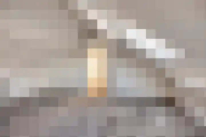 Lage Giessen 7 B Hoornaar thumbnail 26