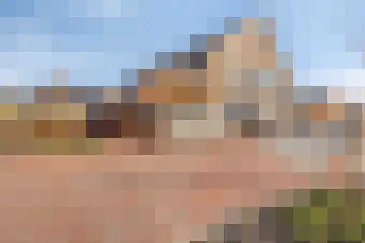 Lage Giessen 7 B Hoornaar thumbnail 28