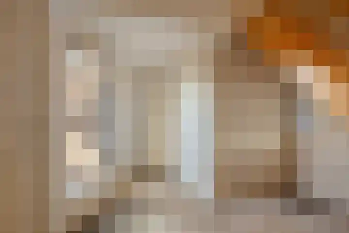 Lage Giessen 7 B Hoornaar thumbnail 5