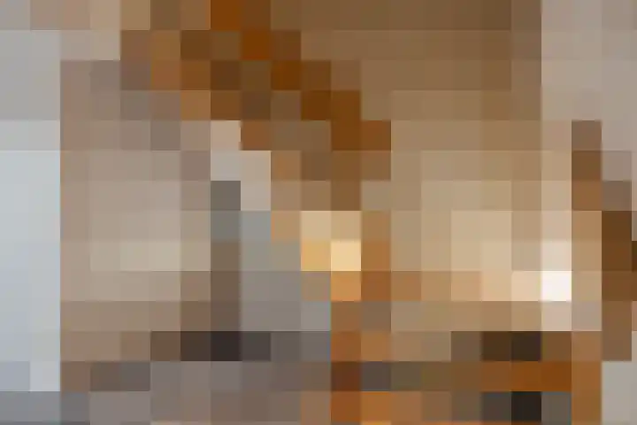 Lage Giessen 7 B Hoornaar thumbnail 6
