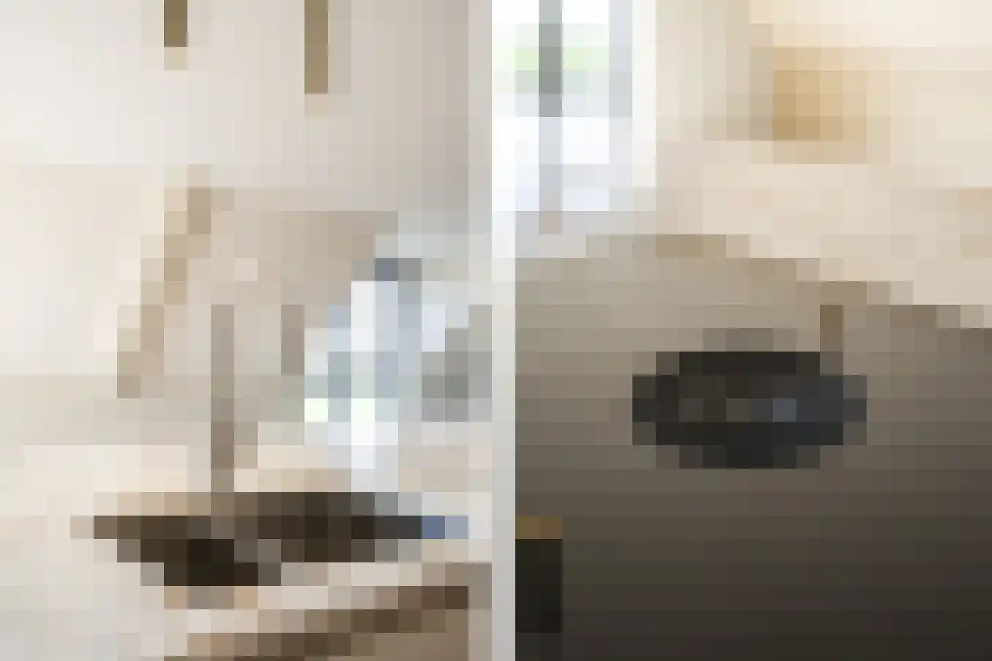Lage Giessen 7 N Hoornaar thumbnail 12