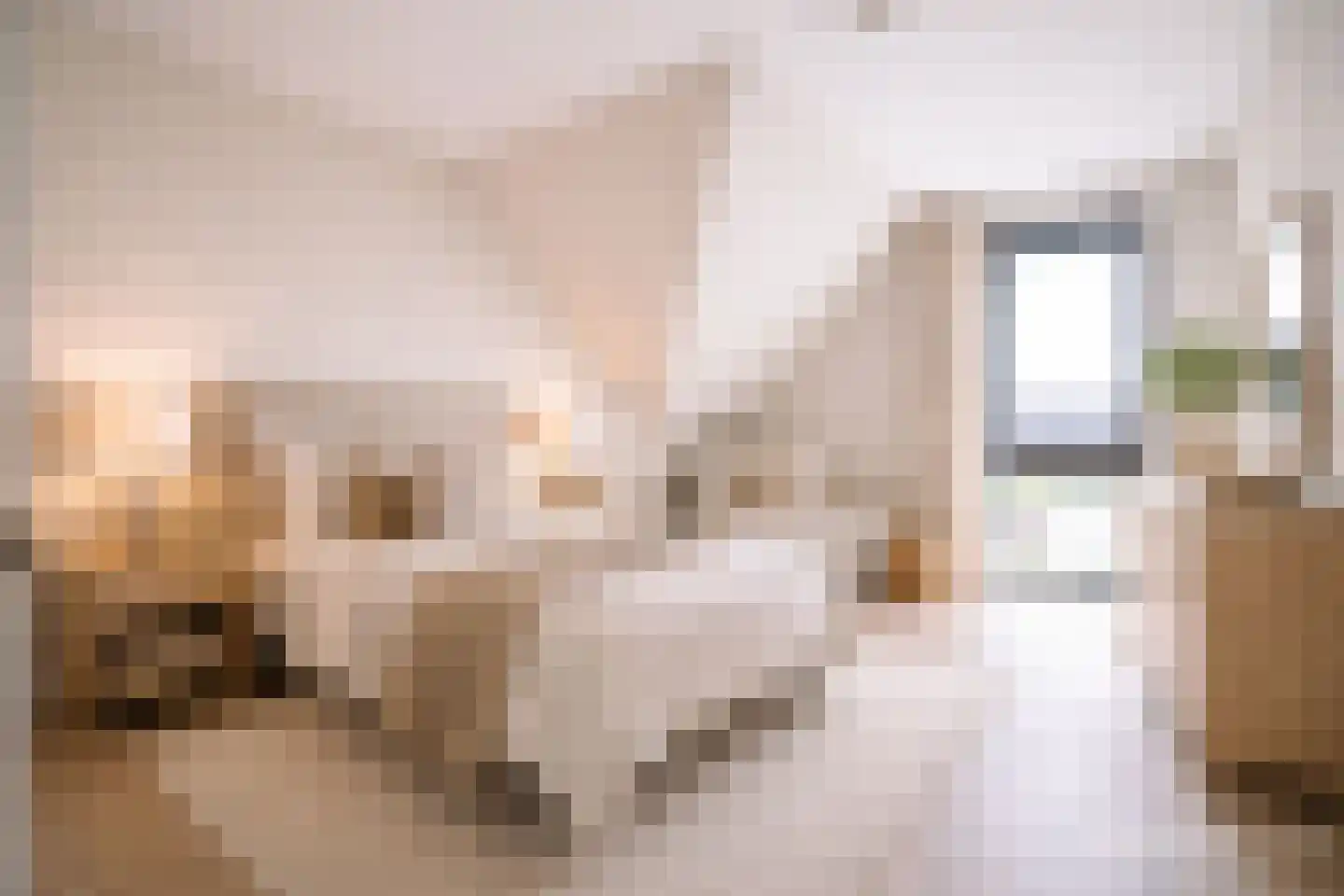 Lage Giessen 7 N Hoornaar thumbnail 26