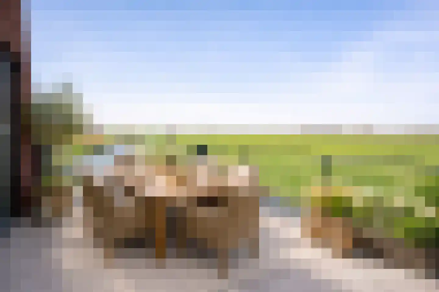 Lage Giessen 7 N Hoornaar thumbnail 7