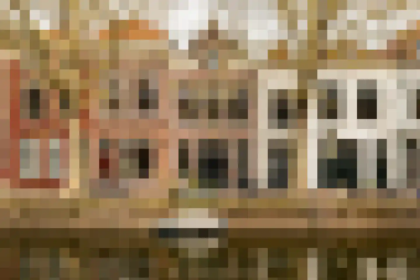 Lage Gouwe 100 Gouda