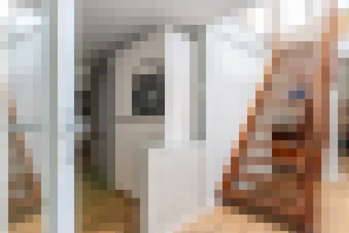 Lage Gouwe 198 d Gouda thumbnail 12