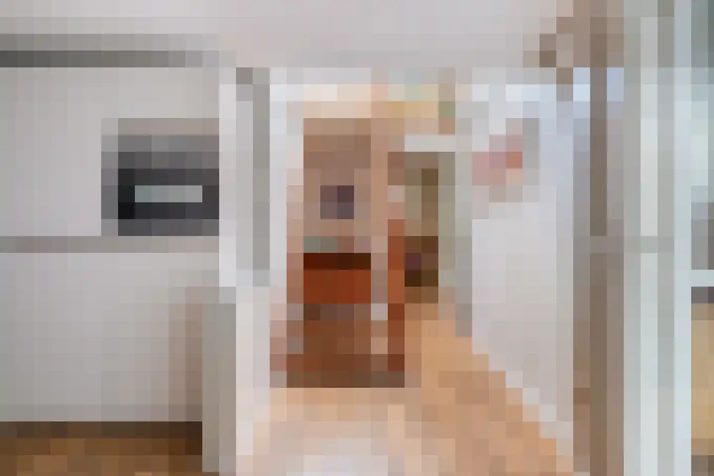Lage Gouwe 198 d Gouda thumbnail 13