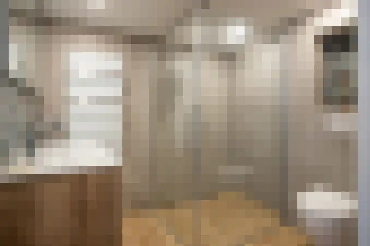 Lage Gouwe 198 d Gouda thumbnail 18
